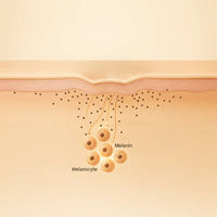 Natural Tanning Actives Complex