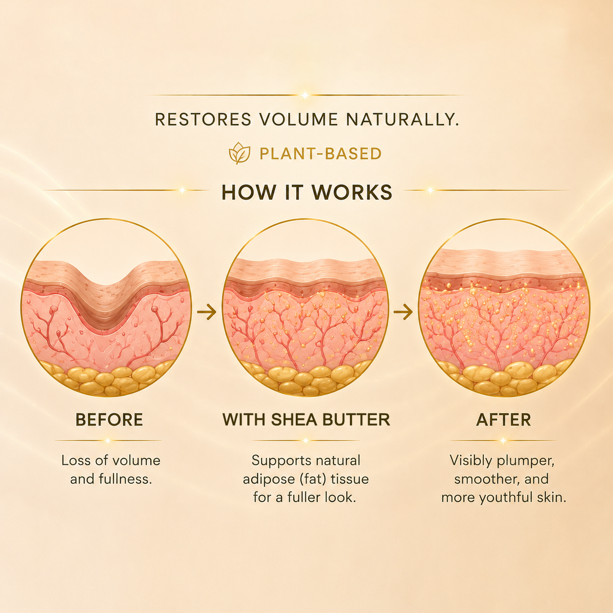 Deep Collagen Silk Lifting Peptide Ampoule