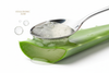 Aloe Vera & Hyaluronic Acid